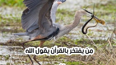 قصة الفلاح والثعبان